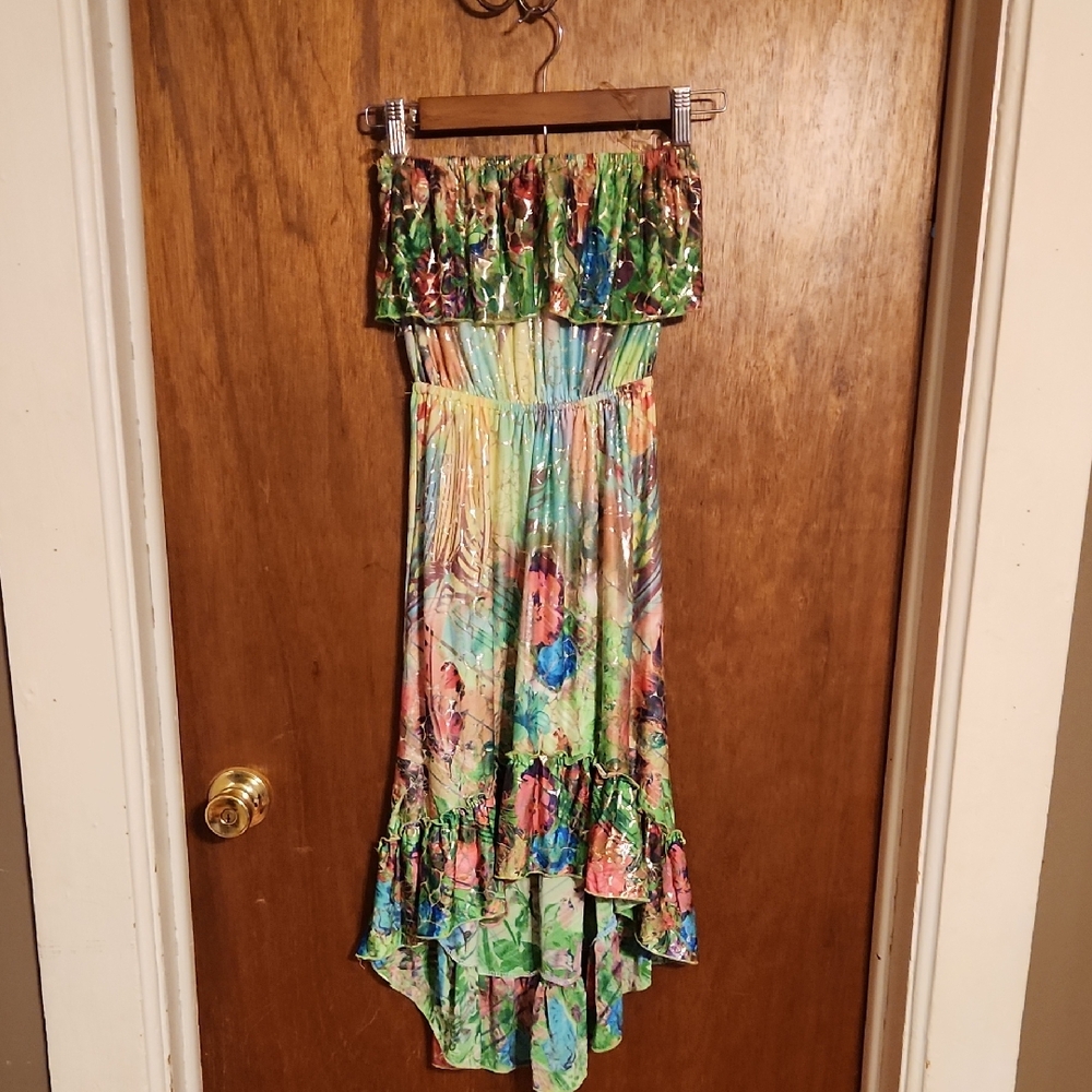 Shoreline Multicolor Strapless Dress